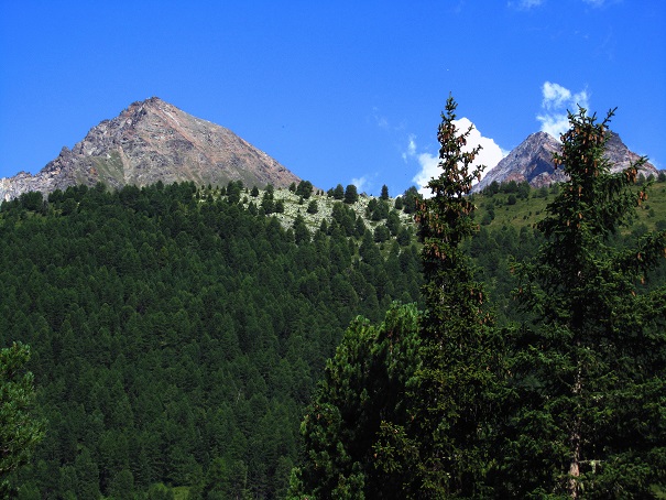 Foto: Andreas Koller / Wandertour / Becca di Nona - Wächter über Aosta (3142m) / Letzter Blick auf die Becca di Nona / 20.06.2016 01:09:32