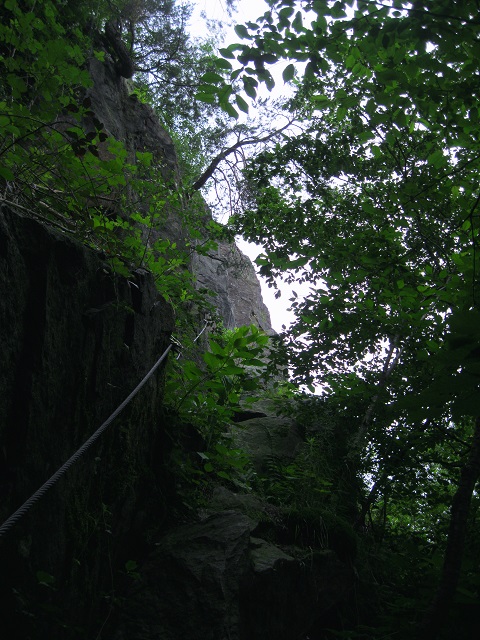 Foto: Andreas Koller / Klettersteigtour / Klettersteig Martinswand Deggendorf (378m) / Verwachsenes Nichts / 22.06.2016 00:12:17
