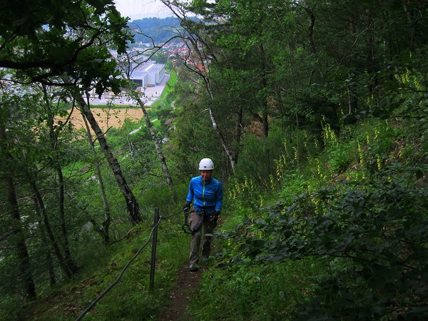 Foto: Andreas Koller / Klettersteigtour / Klettersteig Martinswand Deggendorf (378m) / Geländersteig als Abstieg / 22.06.2016 00:10:28