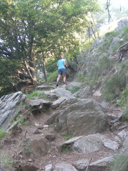 Foto: Wolfgang Lauschensky / Wandertour / Monte Legnone 2609m über Westgrat / Im Wald oberhalb des Rifugios / 30.06.2016 19:22:06