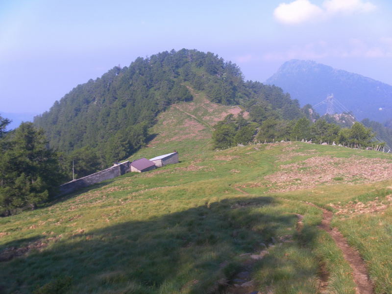 Foto: Wolfgang Lauschensky / Wandertour / Monte Legnone 2609m über Westgrat / Piazza d'Agrogno / 30.06.2016 19:21:44
