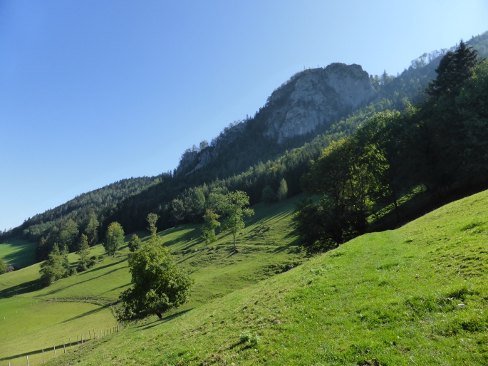 Foto: Manfred Karl / Wandertour / Prochenberg – schönster Aussichtsberg von Waidhofen / Haselsteinwand / 30.06.2016 19:50:42