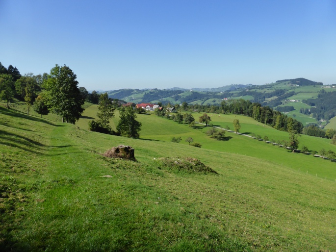 Foto: Manfred Karl / Wandertour / Prochenberg – schönster Aussichtsberg von Waidhofen / 30.06.2016 19:50:31