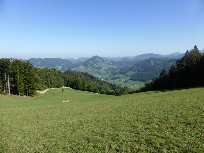 Foto: Manfred Karl / Wandertour / Prochenberg – schönster Aussichtsberg von Waidhofen / 30.06.2016 19:49:22