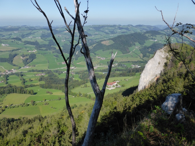 Foto: Manfred Karl / Wandertour / Prochenberg – schönster Aussichtsberg von Waidhofen / 30.06.2016 19:49:15