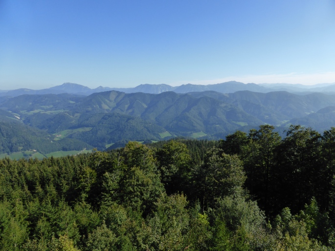 Foto: Manfred Karl / Wandertour / Prochenberg – schönster Aussichtsberg von Waidhofen / Ötscher und Hochkar vom Aussichtsturm / 30.06.2016 19:48:19