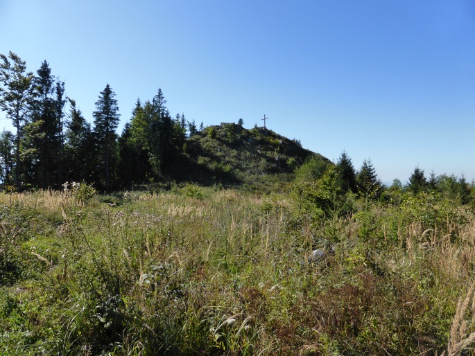 Foto: Manfred Karl / Wandertour / Prochenberg – schönster Aussichtsberg von Waidhofen / Kreuzkogel / 30.06.2016 19:47:05