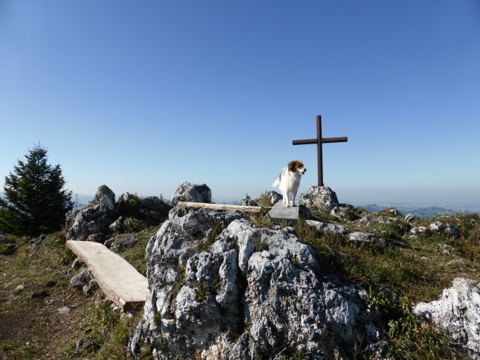 Foto: Manfred Karl / Wandertour / Prochenberg – schönster Aussichtsberg von Waidhofen / Wächter am Kreuzkogel / 30.06.2016 19:46:47