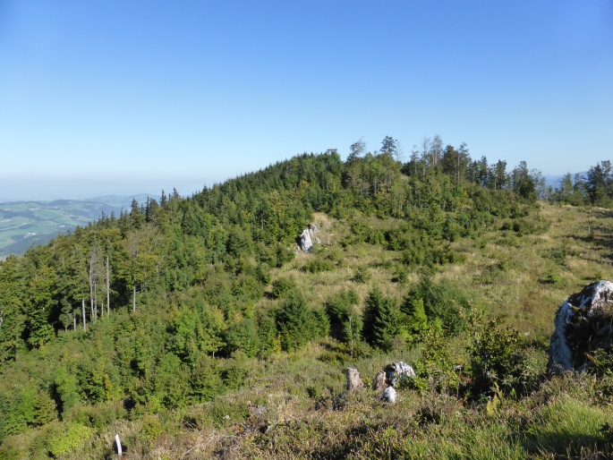 Foto: Manfred Karl / Wandertour / Prochenberg – schönster Aussichtsberg von Waidhofen / Blick vom Kreuzkogel zum Prochenberg / 30.06.2016 19:46:31