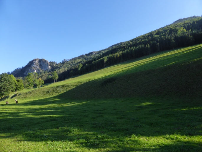 Foto: Manfred Karl / Wandertour / Prochenberg – schönster Aussichtsberg von Waidhofen / 30.06.2016 19:44:55