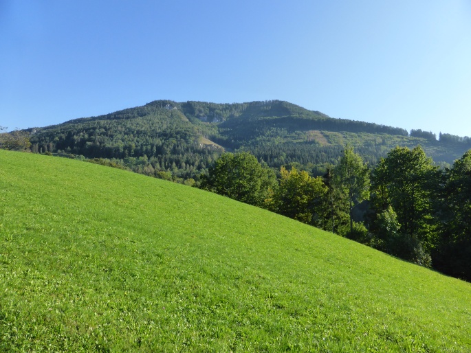 Foto: Manfred Karl / Wandertour / Prochenberg – schönster Aussichtsberg von Waidhofen / Rückblick zum Prochenberg / 30.06.2016 19:44:48