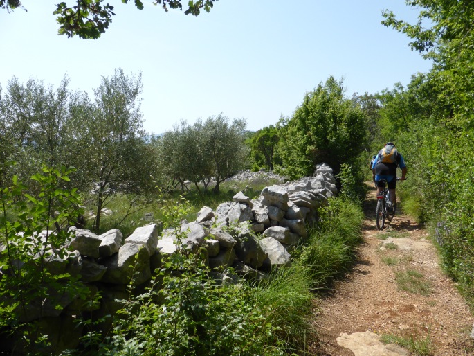 Foto: Manfred Karl / Mountainbiketour / Mit dem Bike von Krk nach Cres / Gemütlicher Trail / 01.07.2016 20:15:14