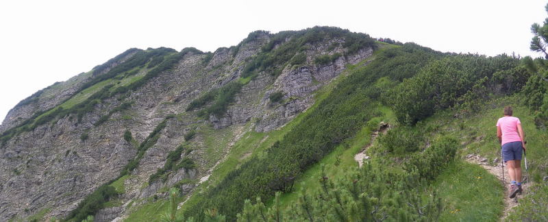 Foto: Wolfgang Lauschensky / Wandertour / Notkarspitze 1889m Überschreitung / Latschenhang zum Gipfelrücken / 21.07.2016 16:32:34