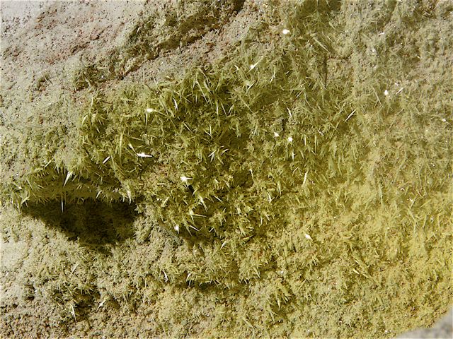 Foto: Walter Ruttinger / Wandertour / Teneriffa Pico del Teide direkt. Seriös dokumentierte / 11.08.2016 15:53:14
