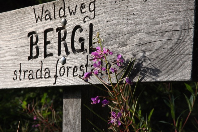 Foto: Werner Kaller / Wandertour / Von Graßstein zum Puntleider See über die Berglam / Alte Wegtafel (Foto Walter Kaller) / 05.09.2016 17:42:12