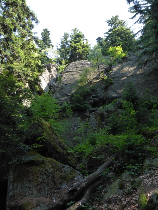 Foto: Manfred Karl / Wandertour / Kaitersberg Überschreitung / Kreuzfelsen / 02.10.2016 20:08:43