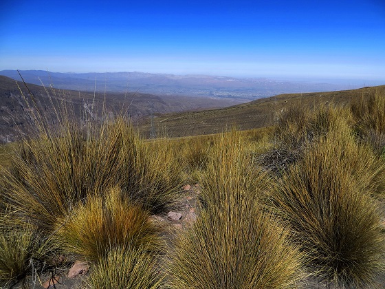 Foto: Andreas Koller / Wandertour / Chachani (6075m) / 03.10.2016 02:16:58