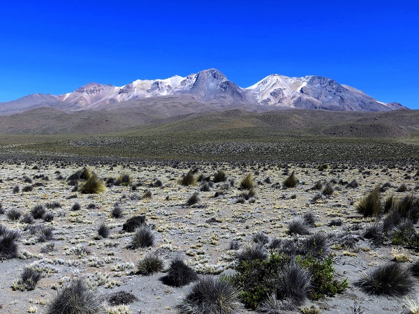 Foto: Andreas Koller / Wandertour / Chachani (6075m) / Chachani / 03.10.2016 02:16:47