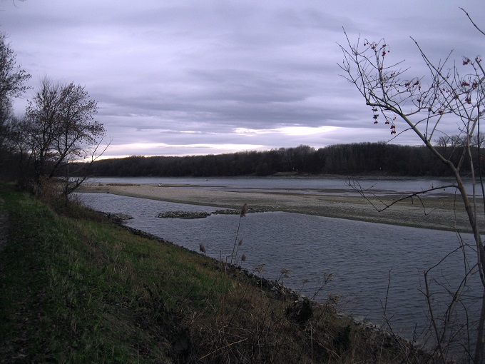 Foto: Andreas Koller / Wandertour / Donaublick vom Braunsberg (355m) / 14.10.2016 02:55:38