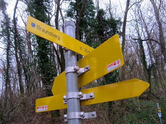 Foto: Andreas Koller / Wandertour / Donaublick vom Braunsberg (355m) / 14.10.2016 02:54:43