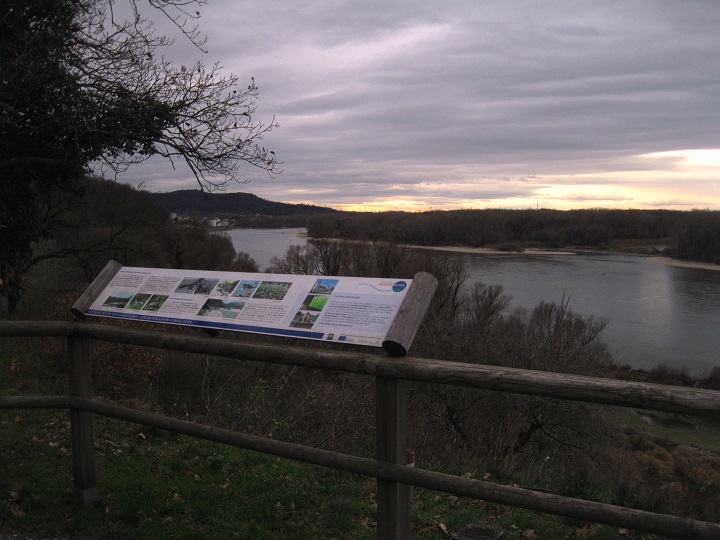Foto: Andreas Koller / Wandertour / Donaublick vom Braunsberg (355m) / 14.10.2016 02:54:25