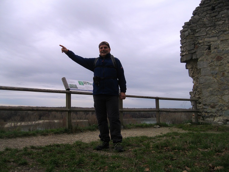 Foto: Andreas Koller / Wandertour / Donaublick vom Braunsberg (355m) / 14.10.2016 02:54:12