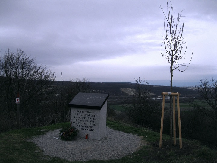 Foto: Andreas Koller / Wandertour / Donaublick vom Braunsberg (355m) / Gipfel Braunsberg / 14.10.2016 02:50:04