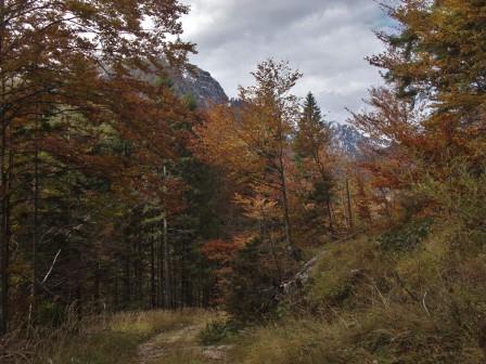 Foto: Wolfgang Dröthandl / Wandertour / Raibler See - Runde (Giro Lago del Predil) / An der Straßenrampe zum Predilpass / 23.10.2016 15:04:49