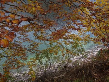 Foto: Wolfgang Dröthandl / Wandertour / Raibler See - Runde (Giro Lago del Predil) / 23.10.2016 15:02:02