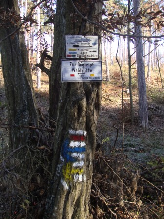 Foto: Wolfgang Dröthandl / Wandertour / Jauling und Guglzipf / 16.11.2016 17:04:44