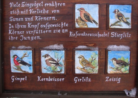 Foto: Wolfgang Dröthandl / Wandertour / Jauling und Guglzipf / Waldlehrpfad Guglzipf / 16.11.2016 17:00:19
