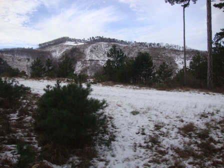 Foto: Wolfgang Dröthandl / Wandertour / Waxeneck - Vom Triestingtal ins Piestingtal / Erstmals Ausblick... / 13.12.2016 18:41:16
