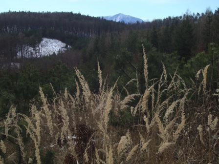 Foto: Wolfgang Dröthandl / Wandertour / Waxeneck - Vom Triestingtal ins Piestingtal / Erster Blick auf den Schneeberg / 13.12.2016 18:40:45