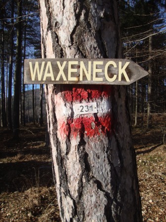 Foto: Wolfgang Dröthandl / Wandertour / Waxeneck - Vom Triestingtal ins Piestingtal / Vor der Abzweigung Richtung Hals / 13.12.2016 18:38:38