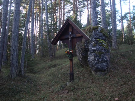 Foto: Wolfgang Dröthandl / Wandertour / Waxeneck - Vom Triestingtal ins Piestingtal / Bergweide - Übergang von Feichtenbach nach Pernitz / 13.12.2016 18:37:28