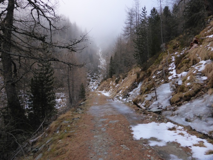 Foto: Manfred Karl / Wandertour / Vom Etrachsee auf das Feldeck / Fahrweg zur Schattnerhütte / 20.12.2016 20:37:48