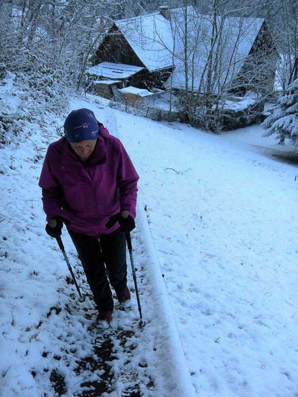 Foto: Wolfgang Lauschensky / Wandertour / Kapf über Schreckweg / Zustieg zum Rücken / 05.01.2017 20:37:48