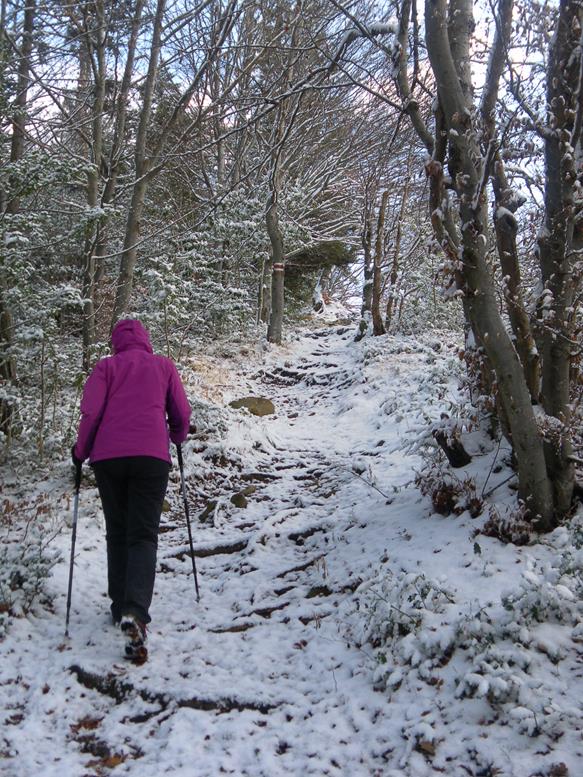 Foto: Wolfgang Lauschensky / Wandertour / Kapf über Schreckweg / am SW-Rücken / 05.01.2017 20:37:43