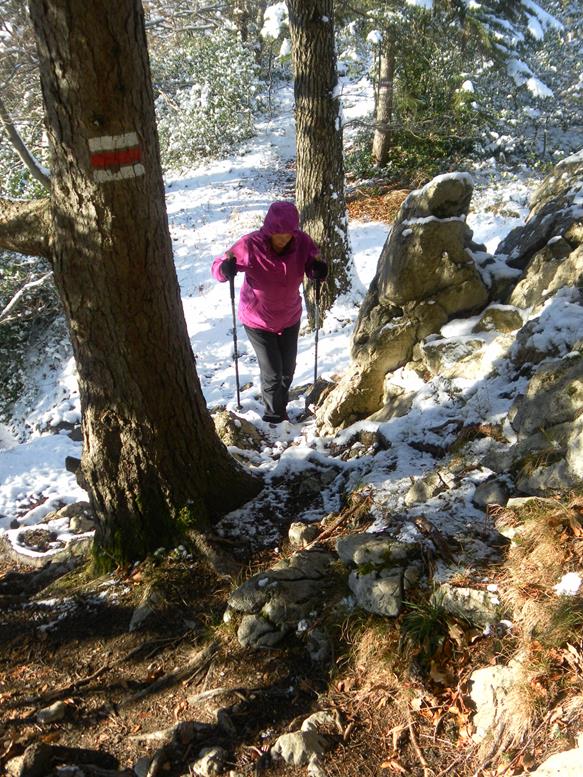 Foto: Wolfgang Lauschensky / Wandertour / Kapf über Schreckweg / wurzelig-schrofig / 05.01.2017 20:37:39