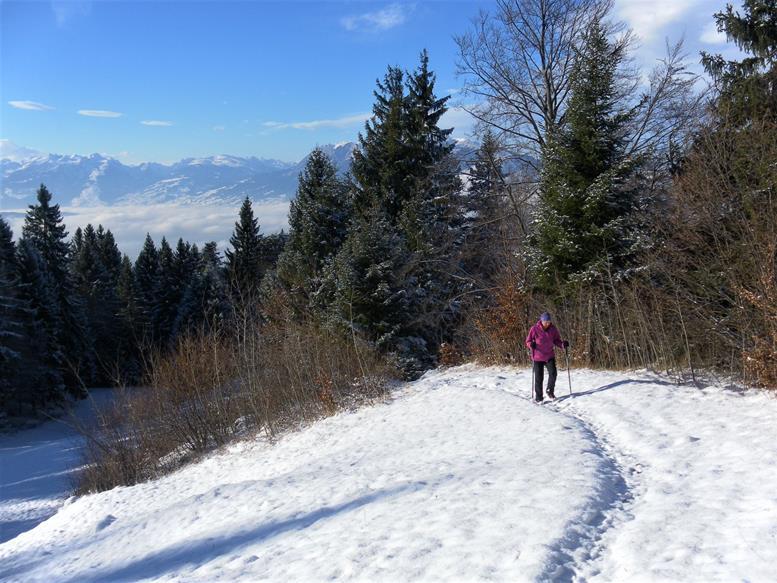 Foto: Wolfgang Lauschensky / Wandertour / Kapf über Schreckweg / Bergwiese / 05.01.2017 20:37:31