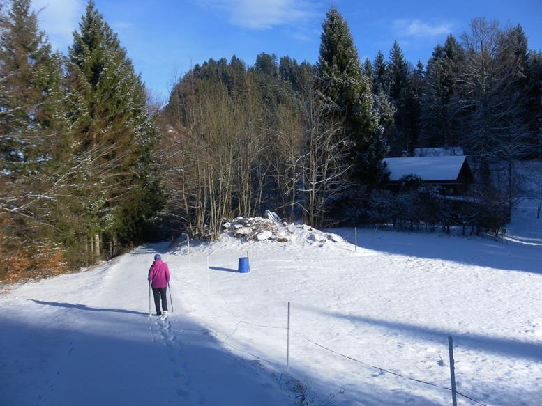 Foto: Wolfgang Lauschensky / Wandertour / Kapf über Schreckweg / Abstieg zum Gipfelsattel / 05.01.2017 20:37:23