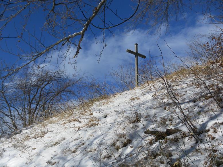 Foto: Wolfgang Lauschensky / Wandertour / Kapf über Schreckweg / Südgratkreuz / 05.01.2017 20:37:15