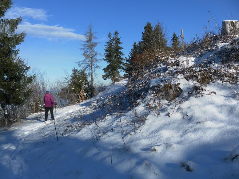 Foto: Wolfgang Lauschensky / Wandertour / Kapf über Schreckweg / vor dem Gipfelplareau / 05.01.2017 20:37:06