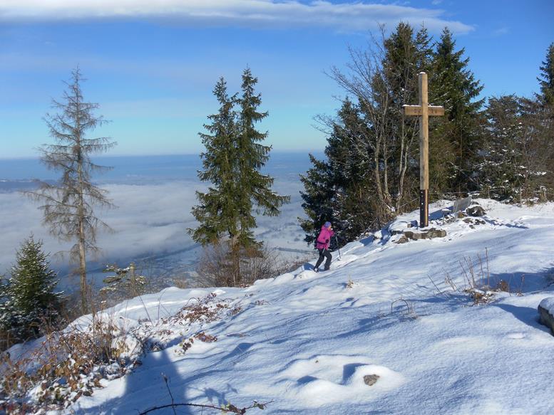 Foto: Wolfgang Lauschensky / Wandertour / Kapf über Schreckweg / Gipfelkreuz mit Rheintalblick / 05.01.2017 20:37:02