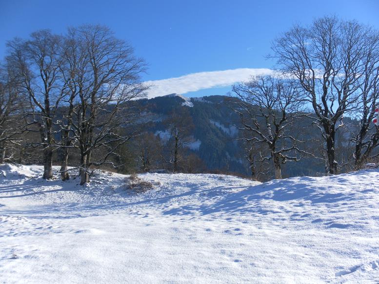 Foto: Wolfgang Lauschensky / Wandertour / Kapf über Schreckweg / Hohe Kugel / 05.01.2017 20:36:58
