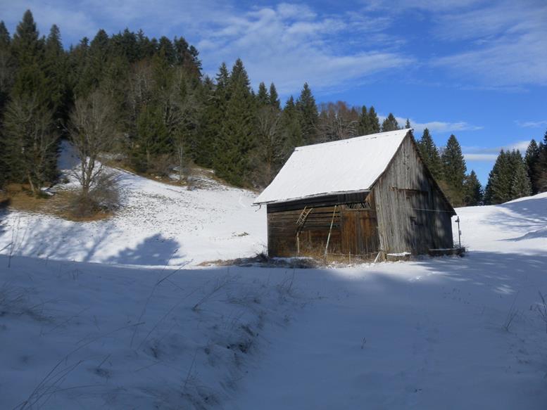 Foto: Wolfgang Lauschensky / Wandertour / Kapf über Schreckweg / Almstadel am Sattel, Schneise zum Kapf / 05.01.2017 20:36:49