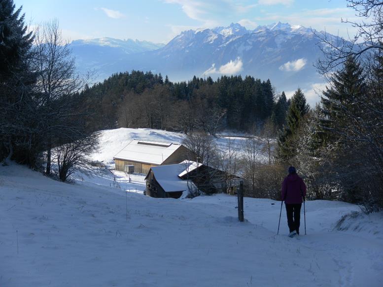 Foto: Wolfgang Lauschensky / Wandertour / Kapf über Schreckweg / Spallenhof / 05.01.2017 20:36:44