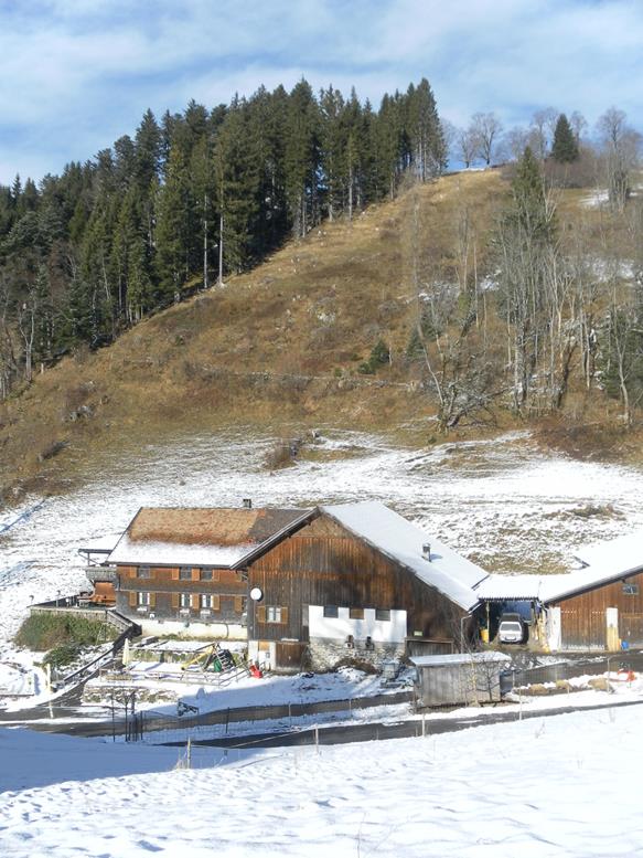 Foto: Wolfgang Lauschensky / Wandertour / Kapf über Schreckweg / Gasthaus Spallenhof / 05.01.2017 20:36:38