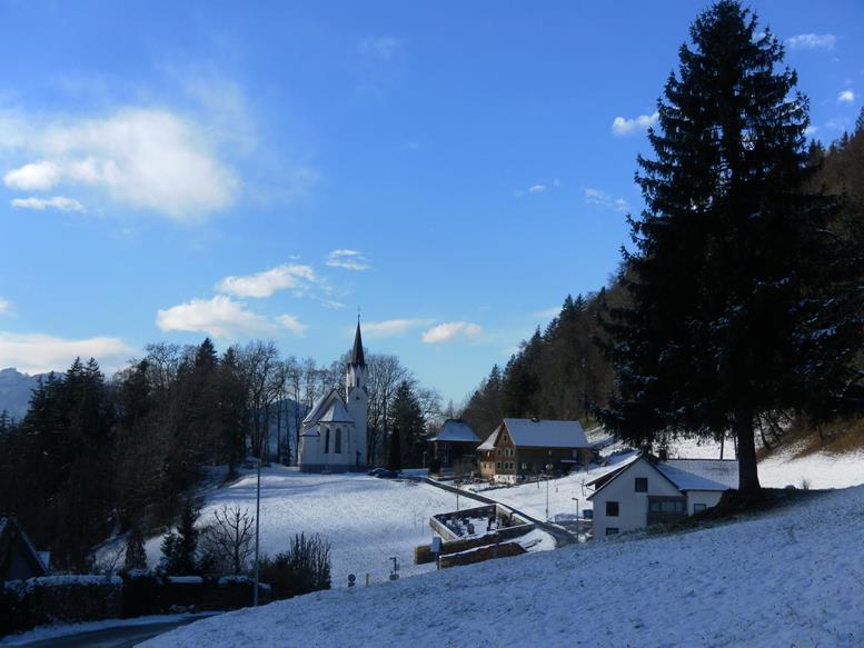 Foto: Wolfgang Lauschensky / Wandertour / Kapf über Schreckweg / St. Wolfgang bei Meschach / 05.01.2017 20:36:32