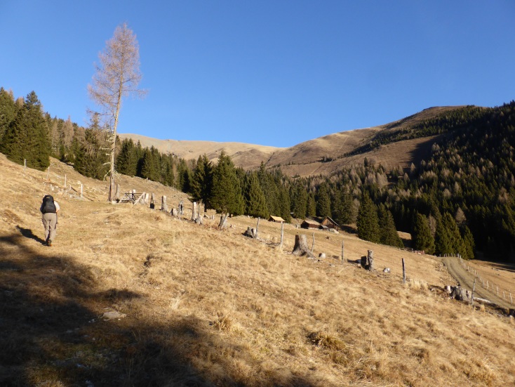 Foto: Manfred Karl / Wandertour / Gmeineck – abseits der üblichen Anstiege / Am Weg zur Steinbruggeralm / 06.01.2017 20:18:01